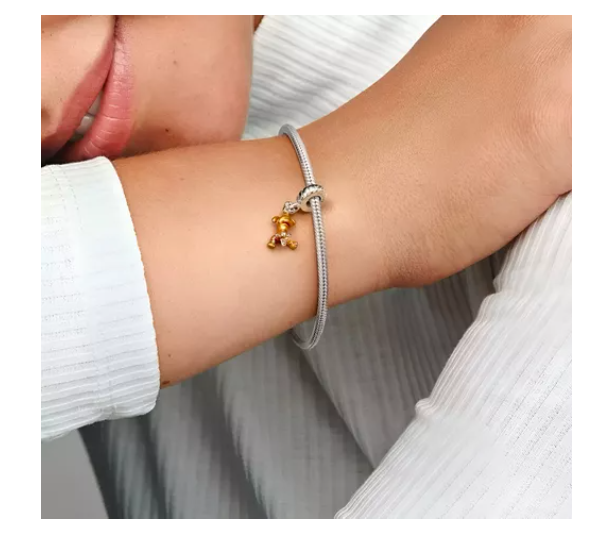 Charm  tigre winnie pooh