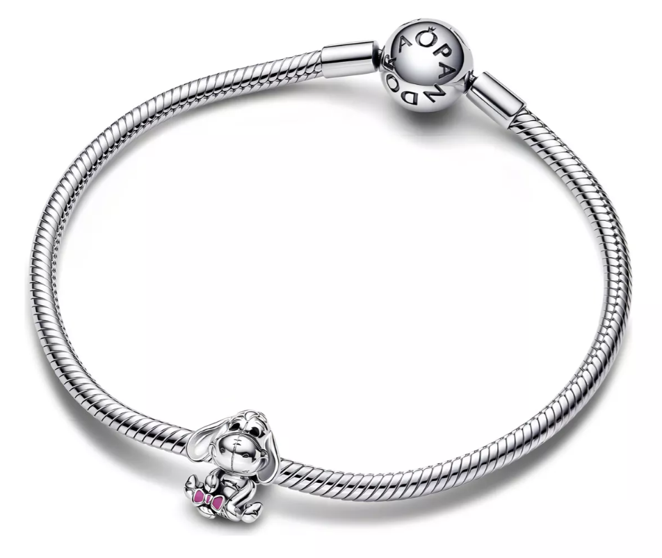 Charm burro winnie pooh