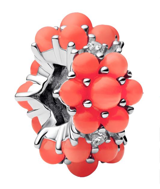 charm Océano De Color Coral