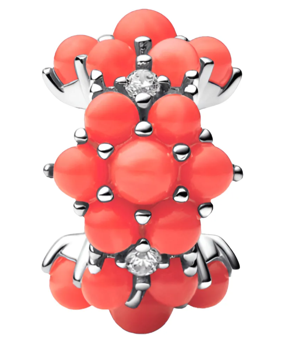 charm Océano De Color Coral