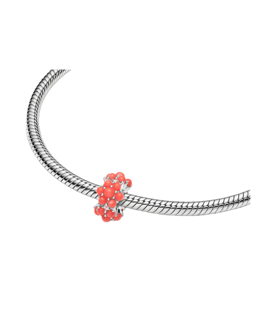 charm Océano De Color Coral
