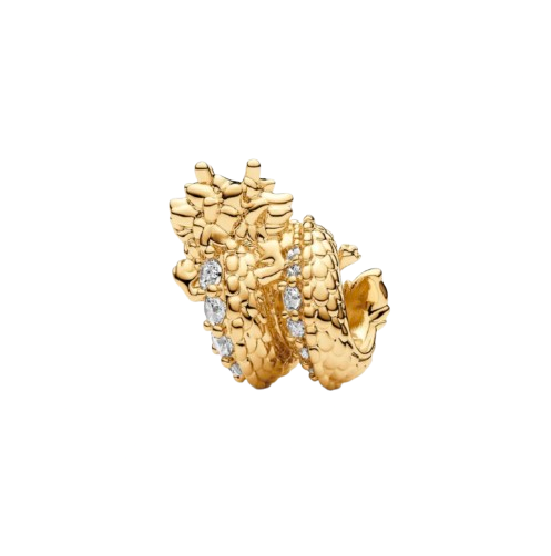 charm dragon